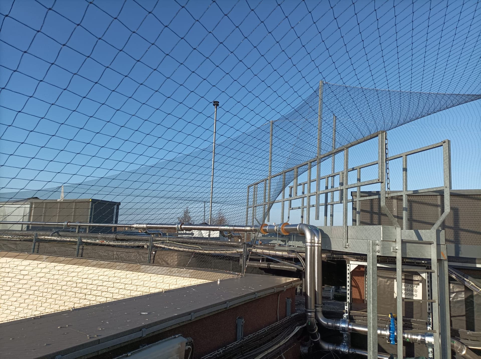 Professional bird netting and wildlife exclusion installation